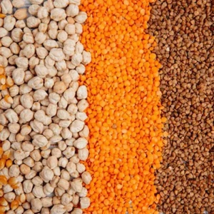 Dal