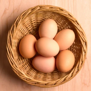EGG