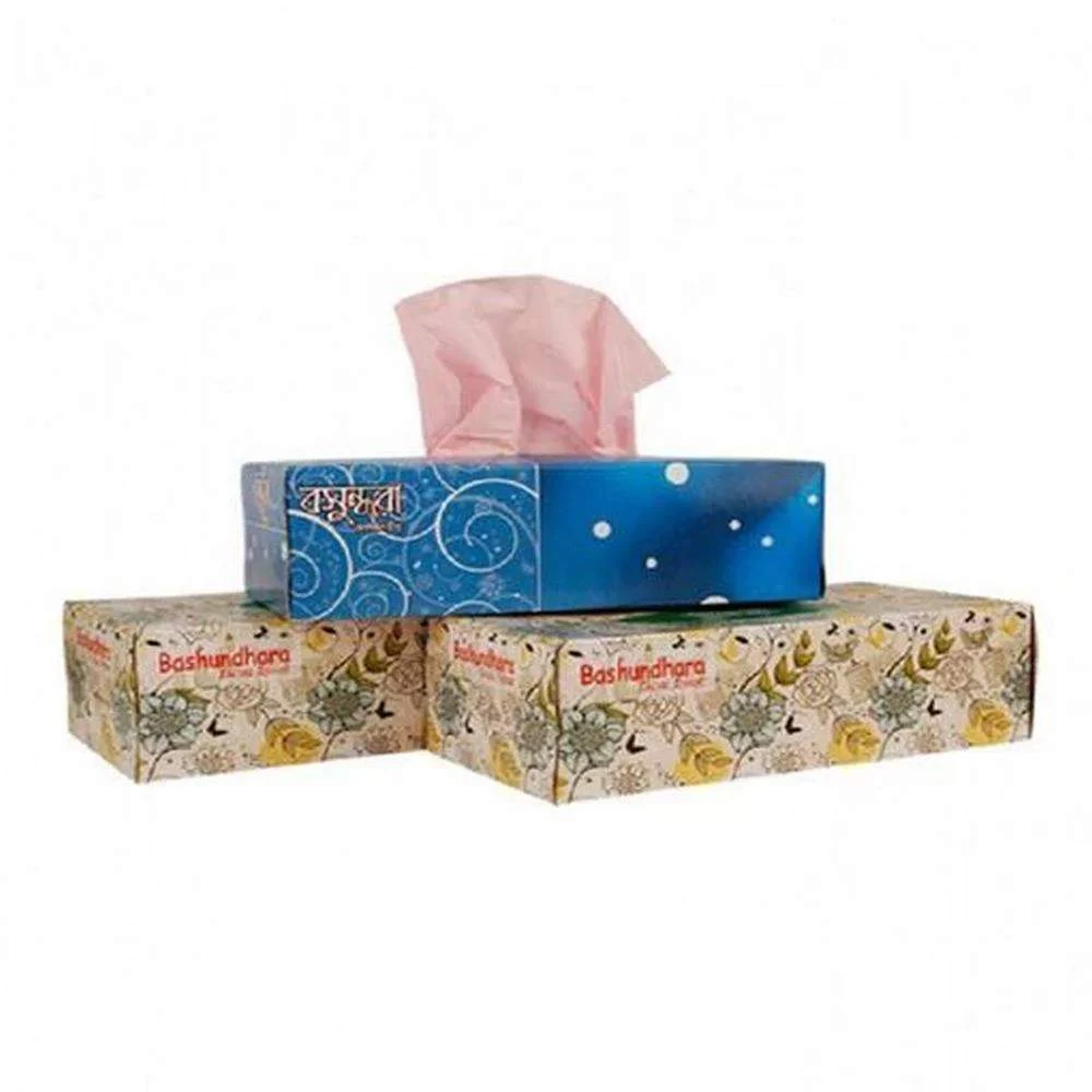 Bashundhara Facial Tissue 100 Pcs 2 Ply